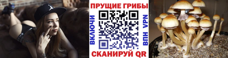 мега ССЫЛКА Сибай Галлюциногенные грибы мухоморы